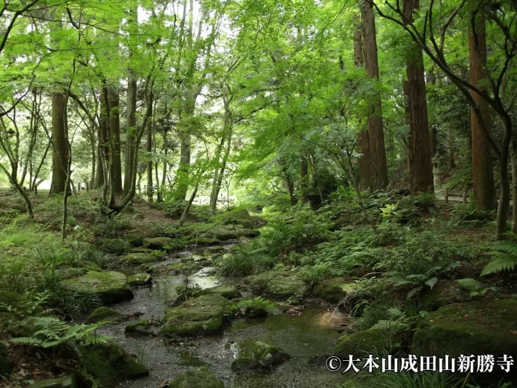 成田山公園で青葉を楽しむ